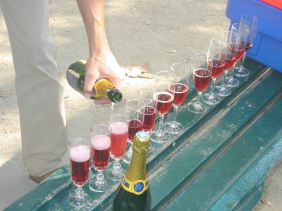 Champagne and Current Liquor Toast.